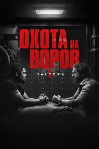 Охота на воров 2: Пантера бесплатно в HD