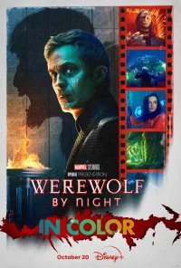 Ночной оборотень бесплатно в HD