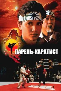 Парень-каратист бесплатно в HD
