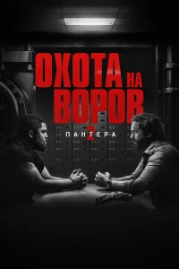 Охота на воров 2: Пантера бесплатно в HD